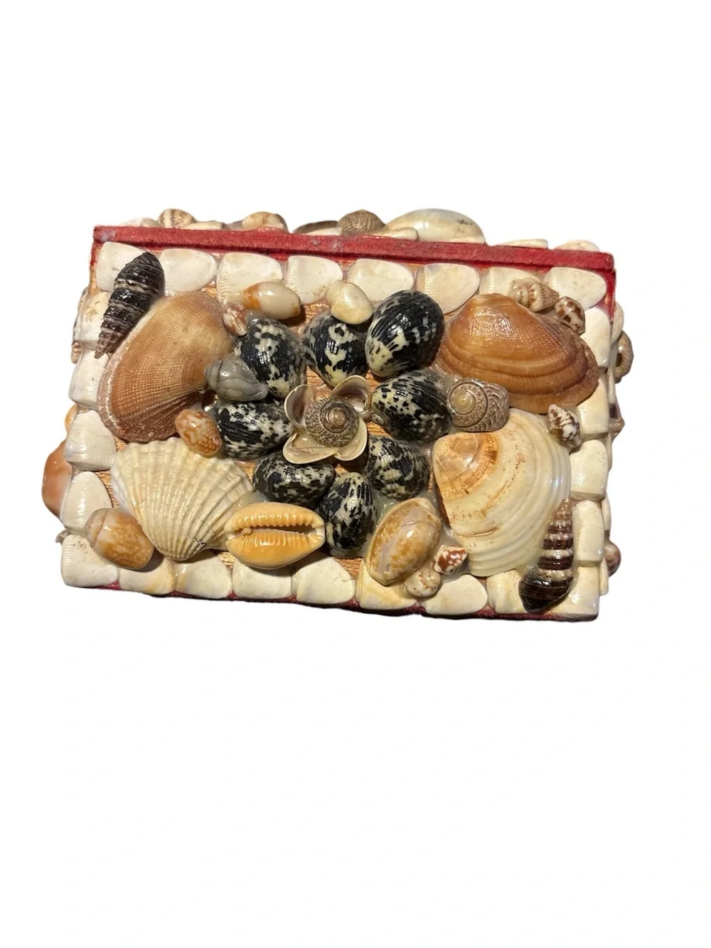 Seashell Kitsch Trinket Box – Natural Shell Mosaic 🐚 - Picture 5 of 5
